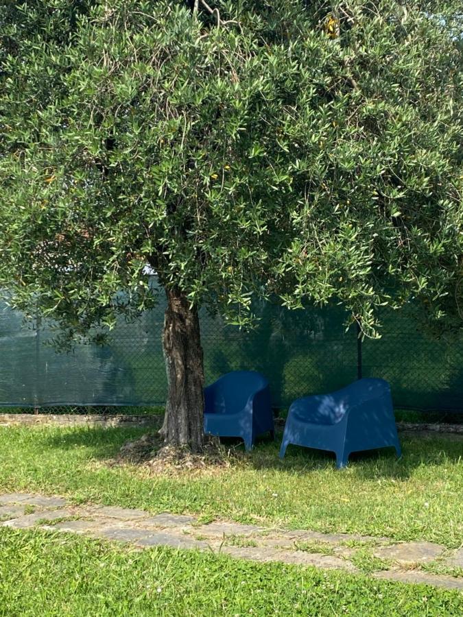 Casa Marcobando Βίλα Λούκα Εξωτερικό φωτογραφία