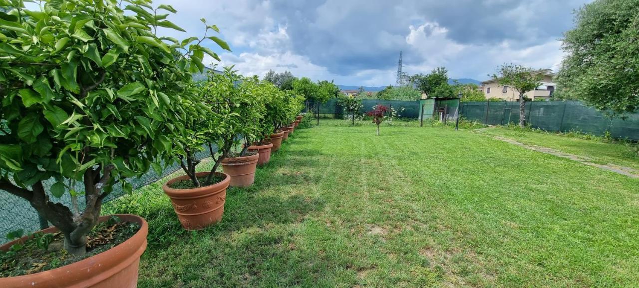 Casa Marcobando Βίλα Λούκα Εξωτερικό φωτογραφία
